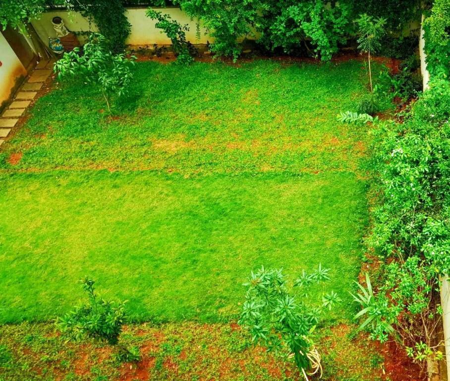 Tulip Villa Bangalore Exterior foto